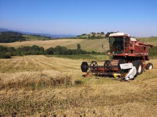 Boulangerie Le Fournil de la Poule Rousse 2