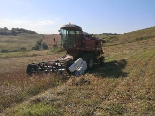 Boulangerie Le Fournil de la Poule Rousse 0