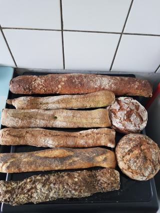 Boulangerie Little bread Fontainebleau 0