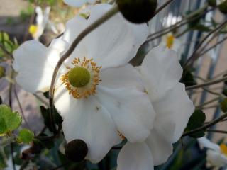 Boulangerie Boulangerie Irjud 0