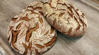 Boulangerie Boulangerie pâtisserie Maison Lagrue ,Sophie&Sébastien. 0