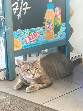 Boulangerie Pâtisserie Laveissière 0