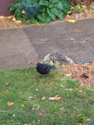 Boulangerie Boulangerie Sandwicherie Fournil de Pierre 0