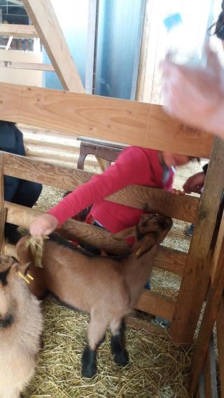 Boulangerie La Ferme de Charly | Producteurs Locaux Lyon 2