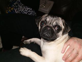 Boulangerie El Pepito 0