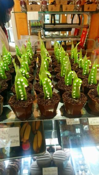 Boulangerie Le Suprême 0