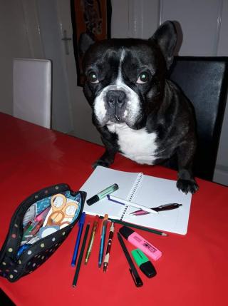 Boulangerie Jacquin Benoit et Stéphanie 1
