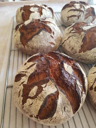Boulangerie Reine des blés taliouine 0