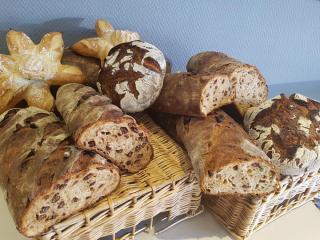Boulangerie Reine des blés taliouine 0