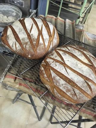 Boulangerie L’Authentique 0