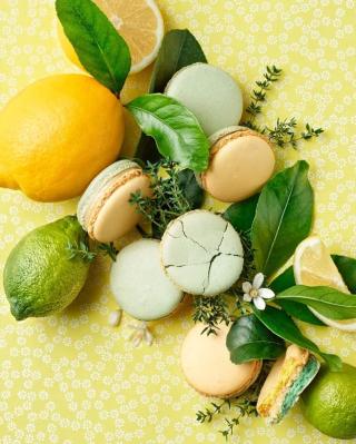 Boulangerie La Pâtisserie Jarraud-Bekkouche 0