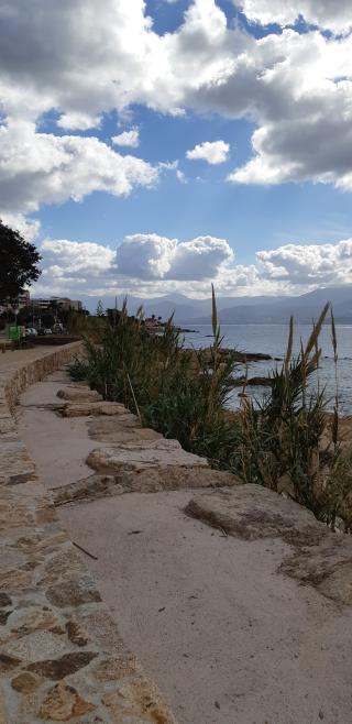 Boulangerie L'Arbre à Pain Sanguinaires 0