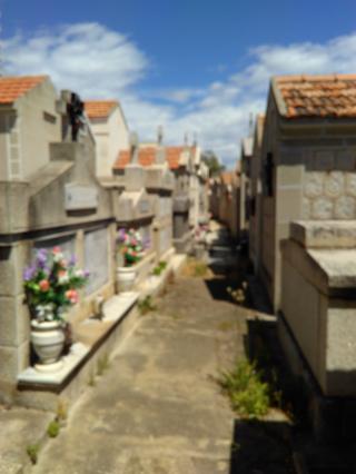 Boulangerie L'Arbre à Pain Sanguinaires 0