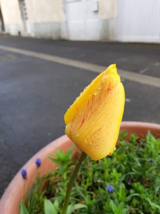 Boulangerie Chocolaterie Patisserie Auger 0