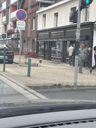 Boulangerie Boulangerie Glad Boquet 2