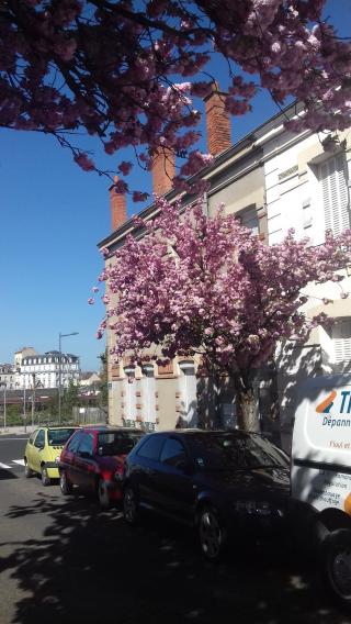Boulangerie Boulangerie 