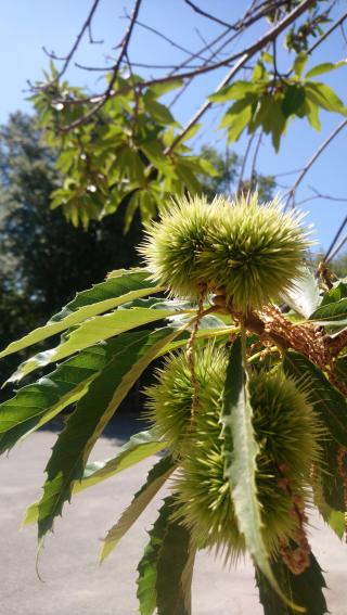 Boulangerie Boulangerie le Péché Mignon 2