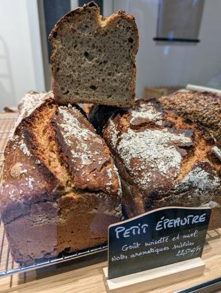 Boulangerie ENCORE - Ophélie Barès 0