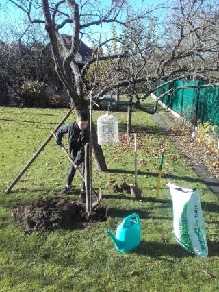 Boulangerie Patisserie Beck Christian 0