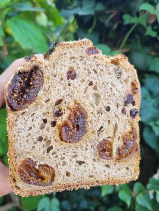 Boulangerie Ô Levain Vivant 1