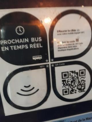 Boulangerie Saines Saveurs 0