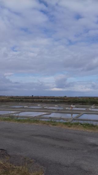 Boulangerie Le Phare 0