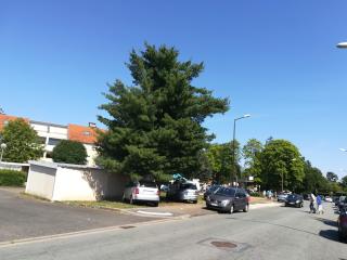 Boulangerie La Framboisine 0