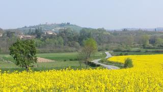 Boulangerie Boulangerie des Platières 0
