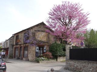 Boulangerie La Galerie des Pains 0